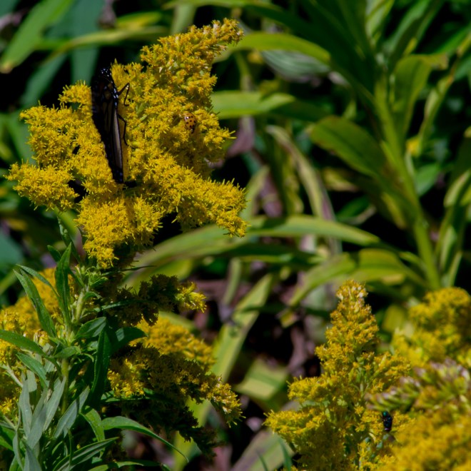 Polonski_untitled shoot_MG_5937