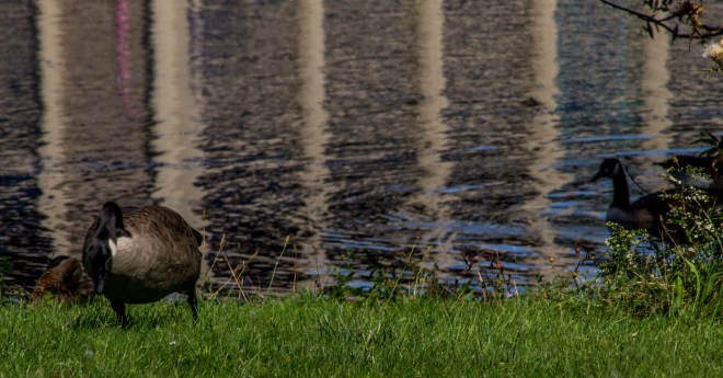 Polonski_untitled shoot_MG_5956