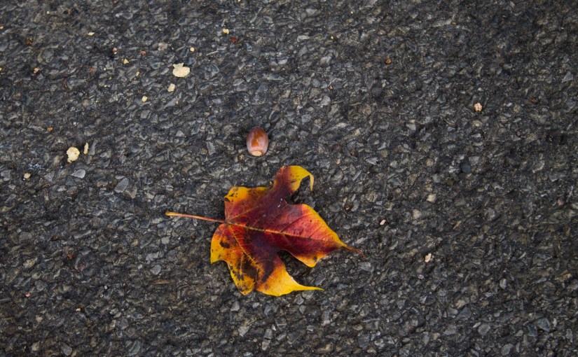Fall on the&nbsp;Ground