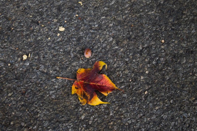 Polonski_untitled shoot_MG_6024.jpg