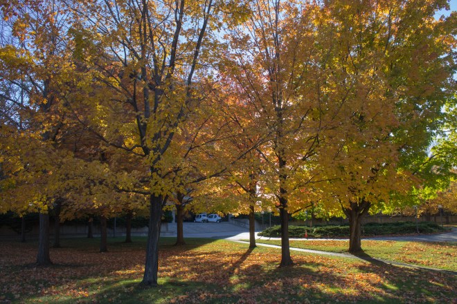 Polonski_untitled shoot_MG_6209