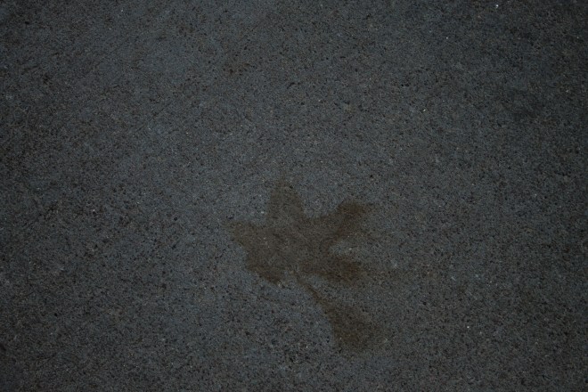 Polonski_untitled shoot_MG_6589.jpg