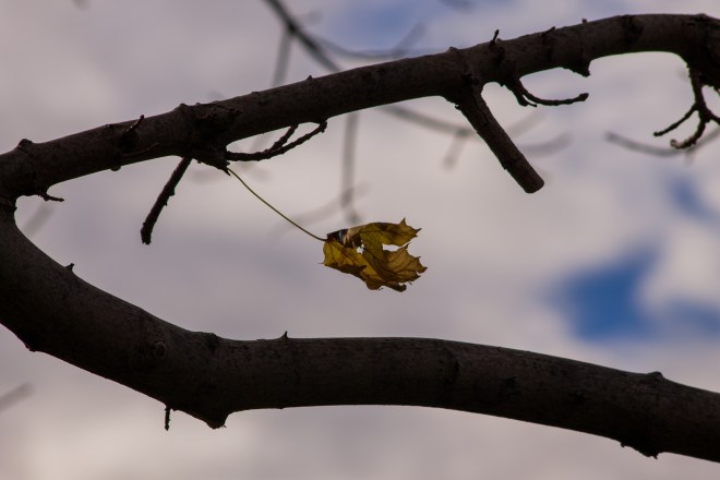 Polonski_untitled shoot_MG_6932