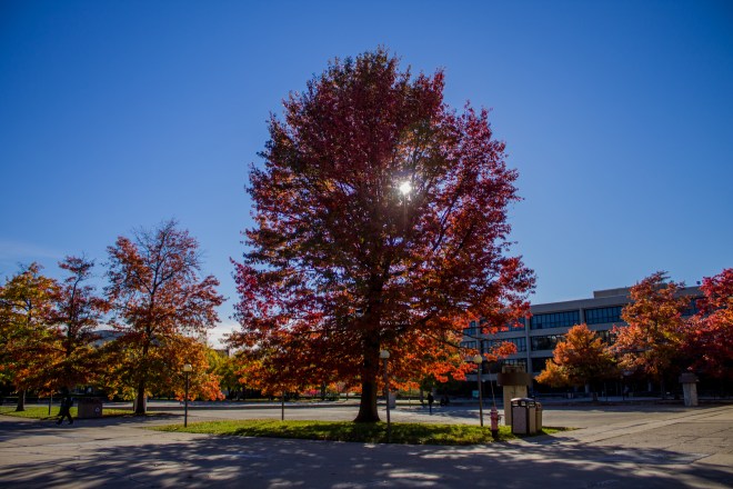 Polonski_untitled shoot_MG_6191